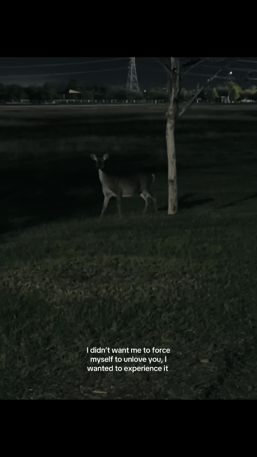 @unknown feelings