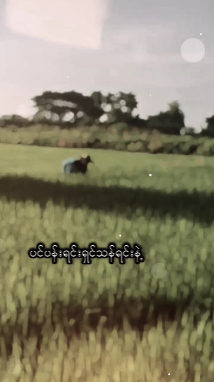 @ရိတ်သိမ်းသမာလေးဘာဗျာ🤫🤫🤫