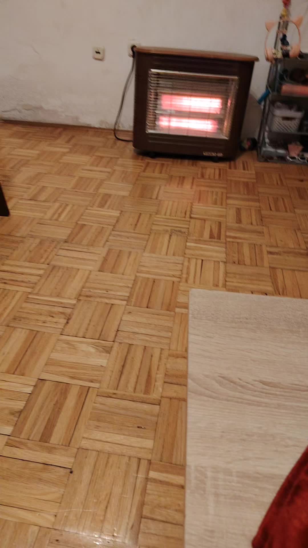 @Dora Radanović
