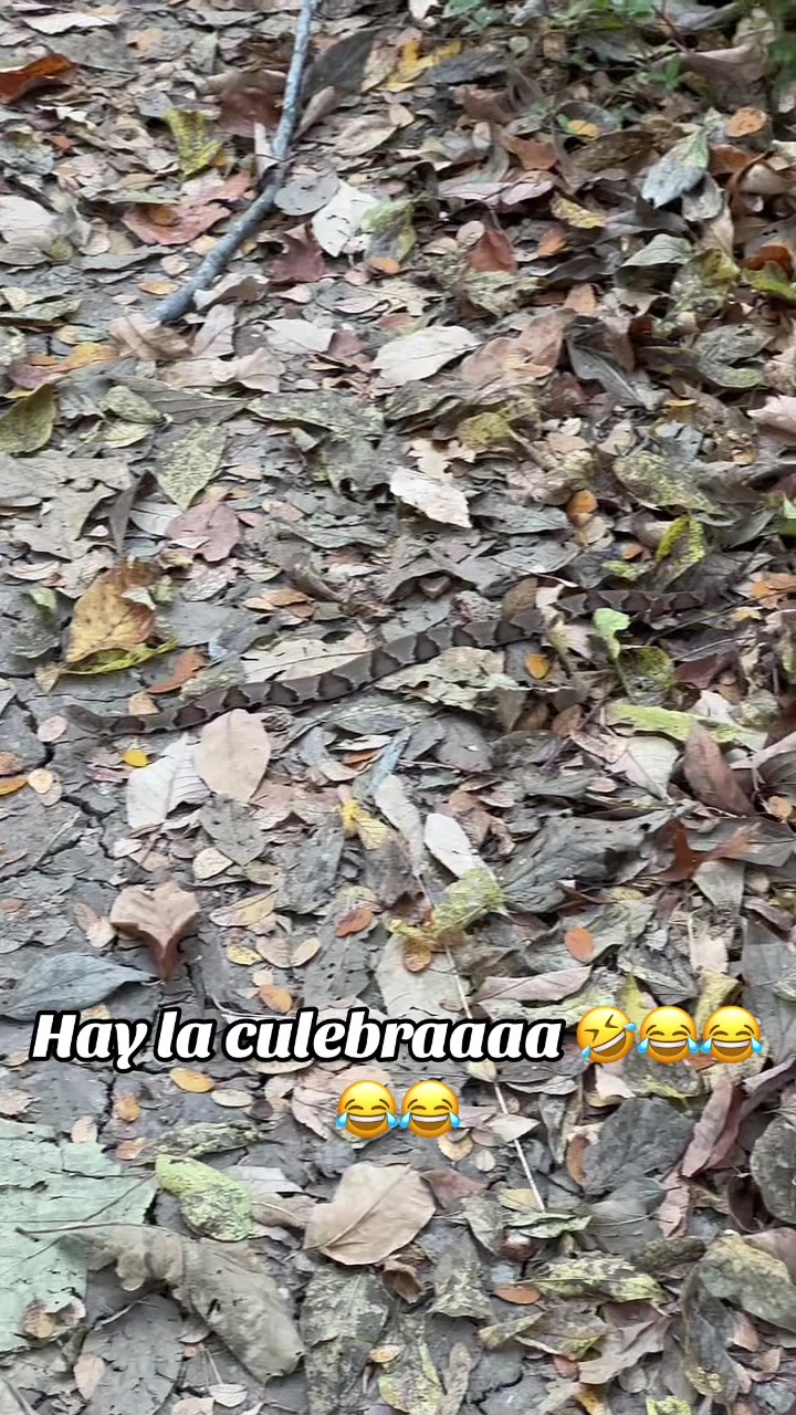 @*paz melissa