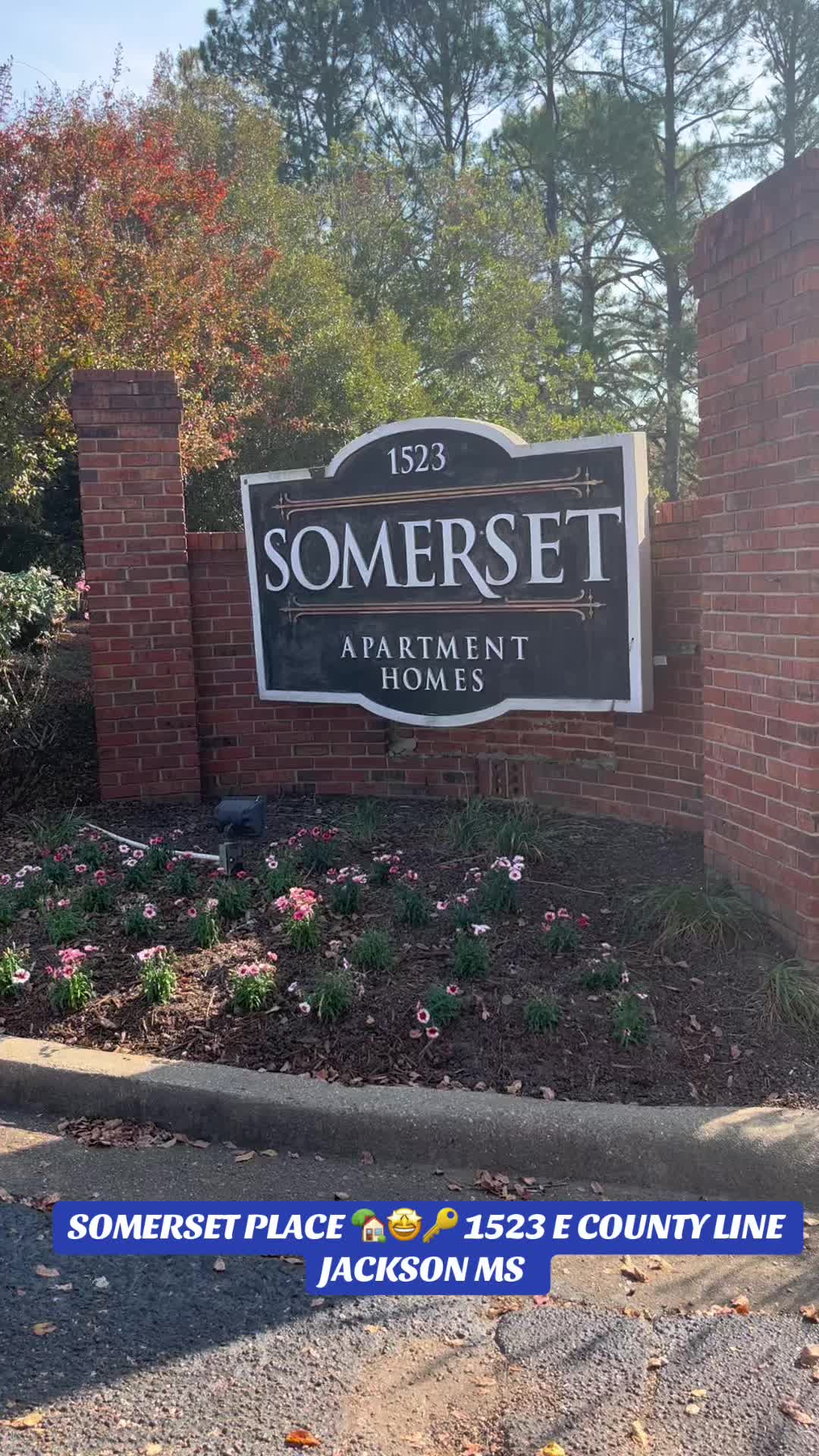 @Somerset Place Apts