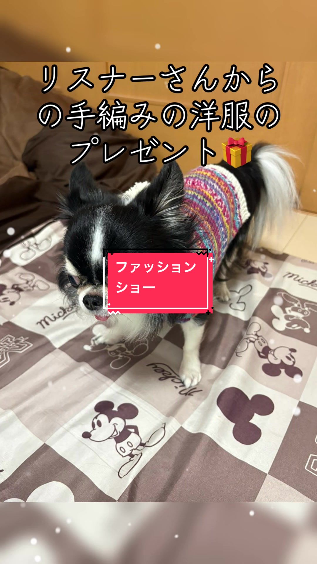 @ニンニン🐶🩵🍀
