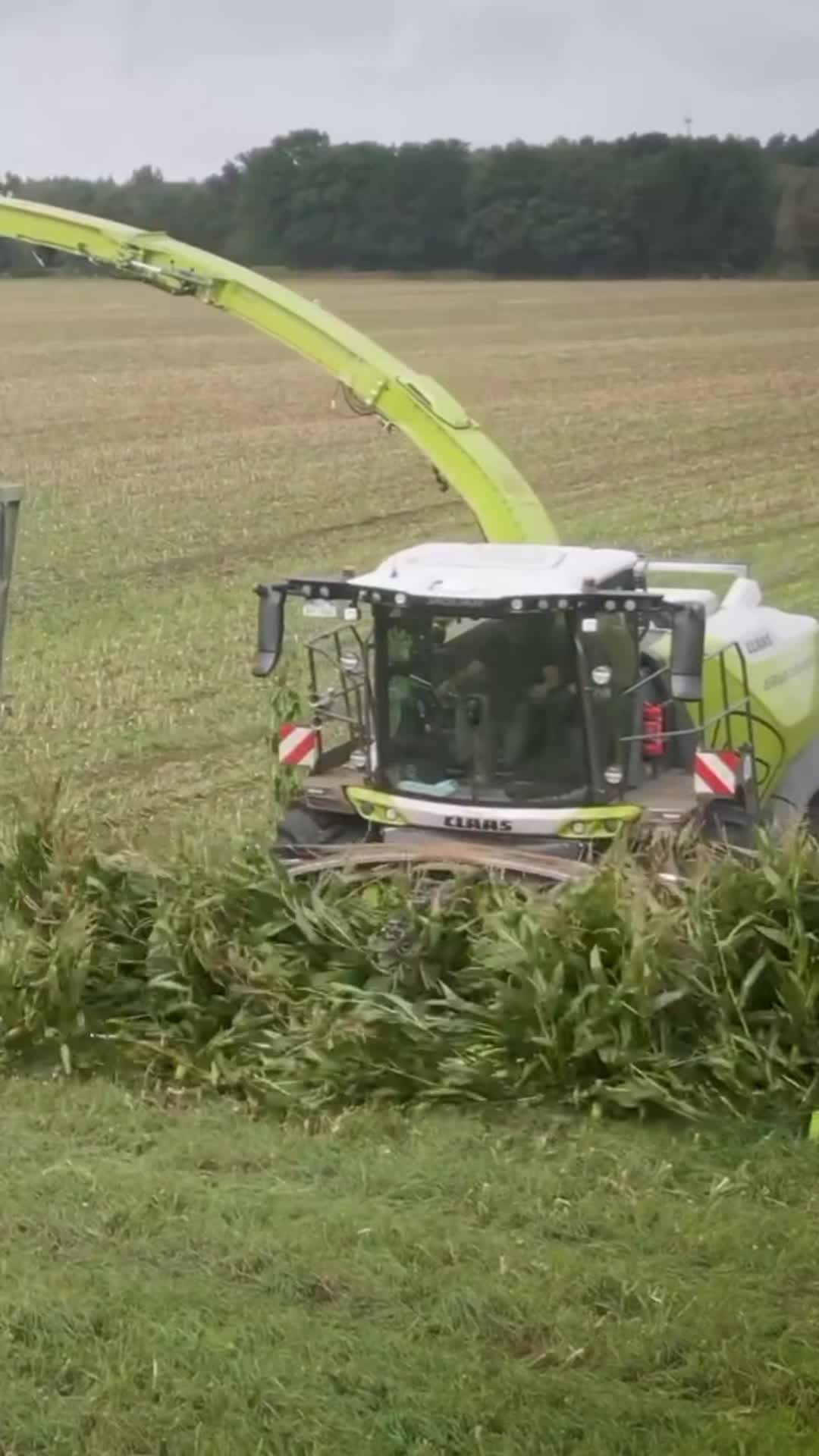 @🇩🇪Ꭺꮐꭱꭺꭱᏼꮮꮖꮯꮶ ᎷᏙ🇩🇪