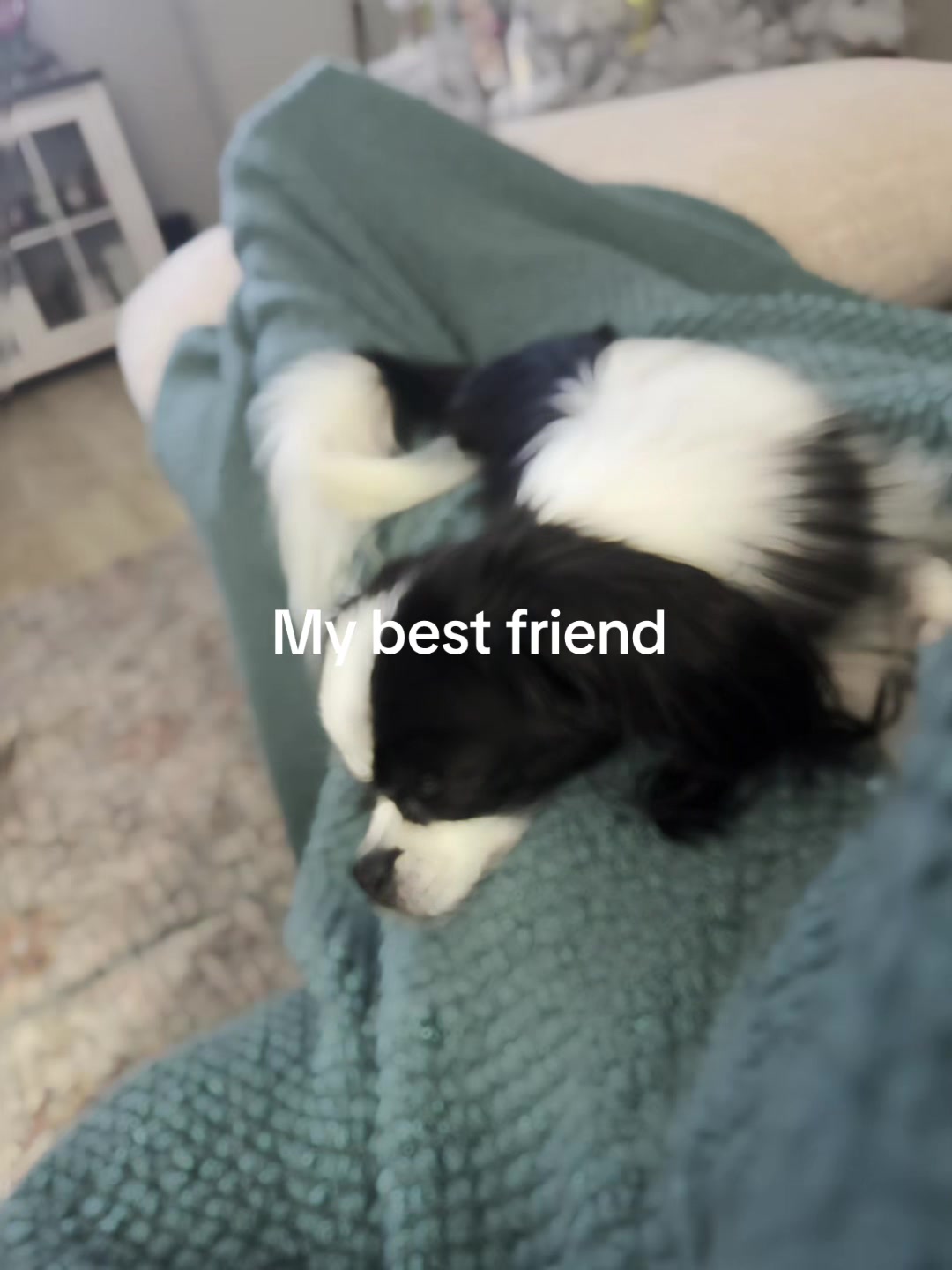 @Jessica Nicole