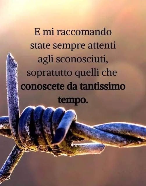 @giuseppeluci496