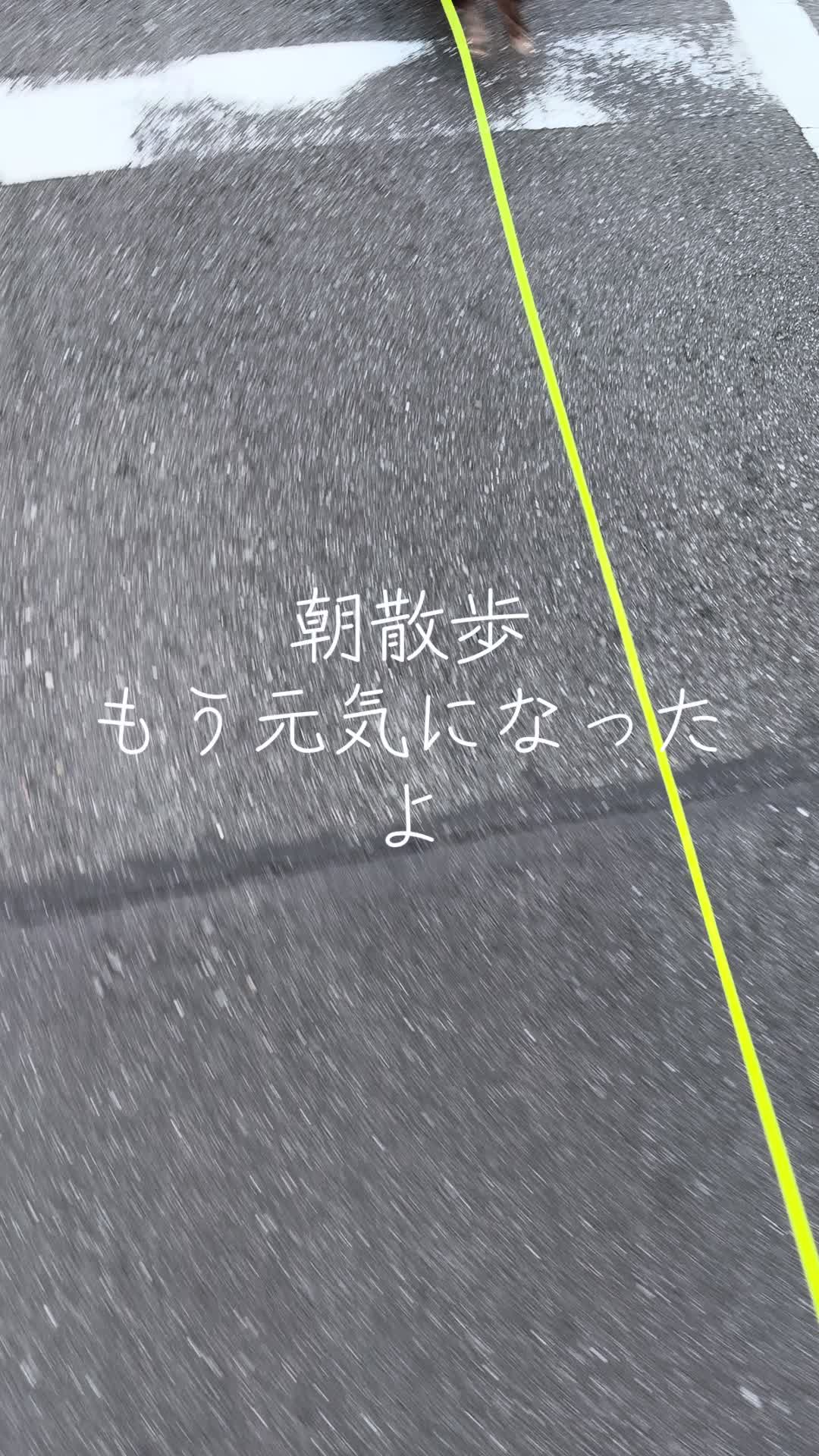 @ケン