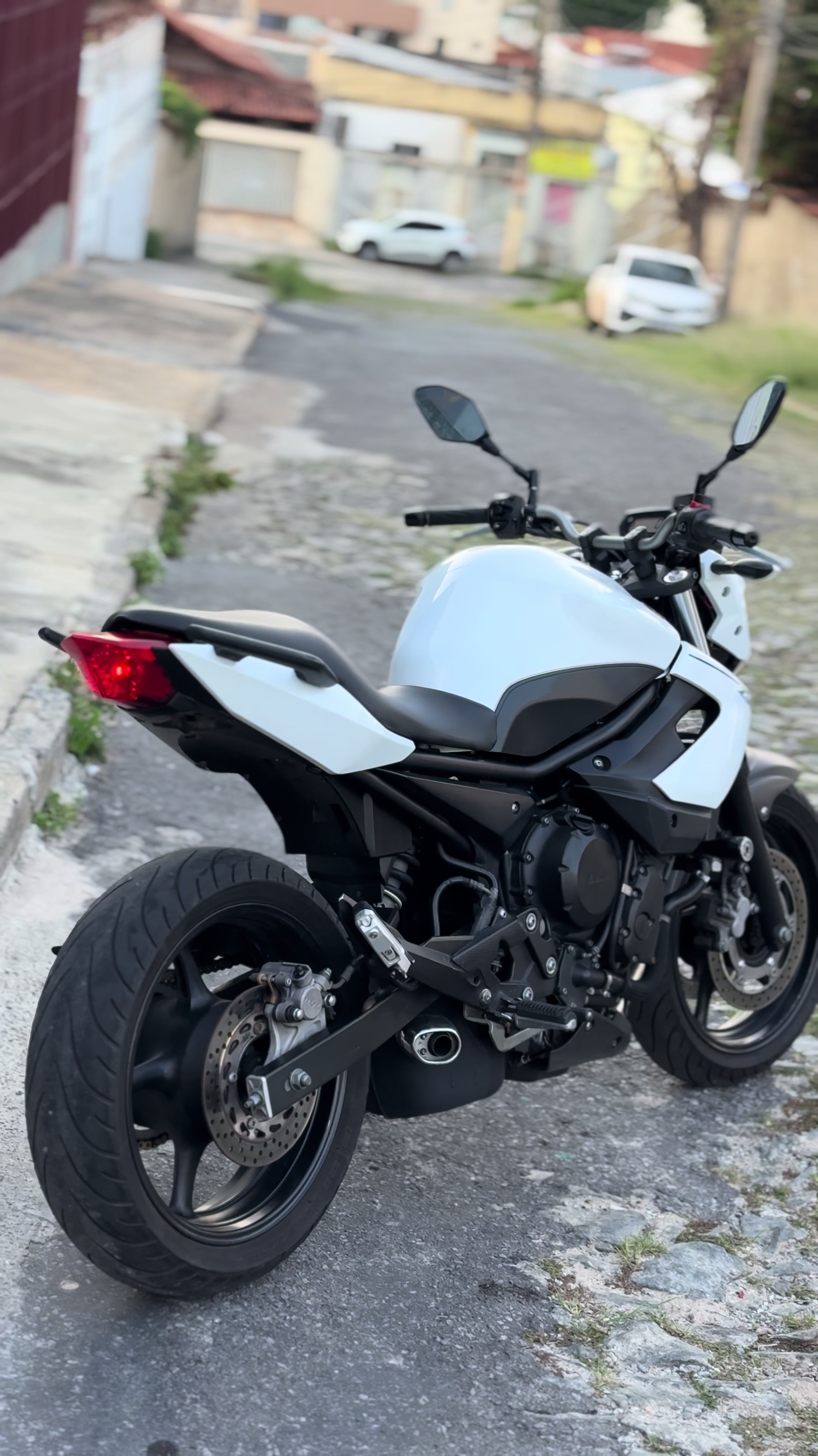 @João Tavares