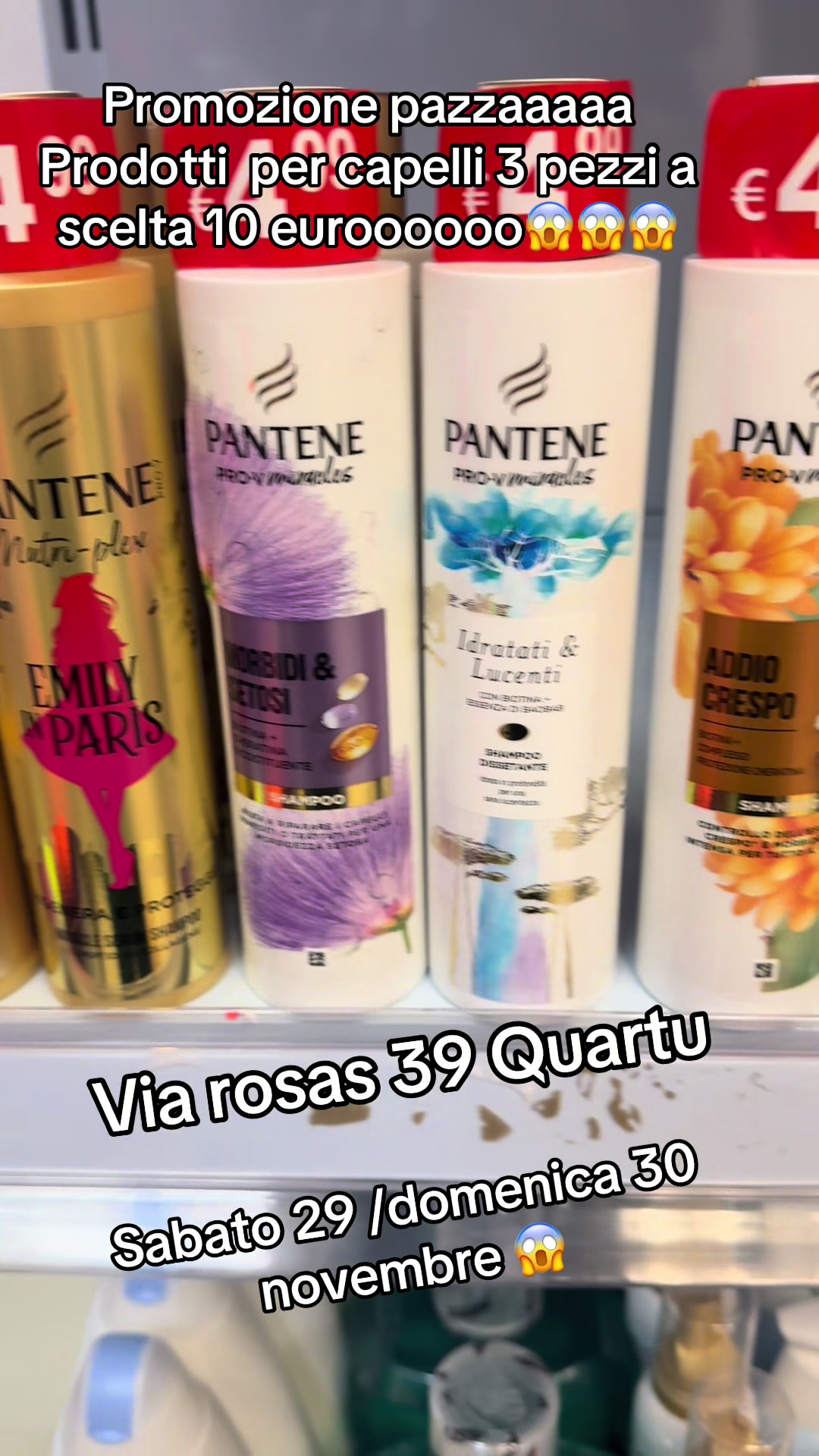 @El.fenix.tutto.per.la.casa