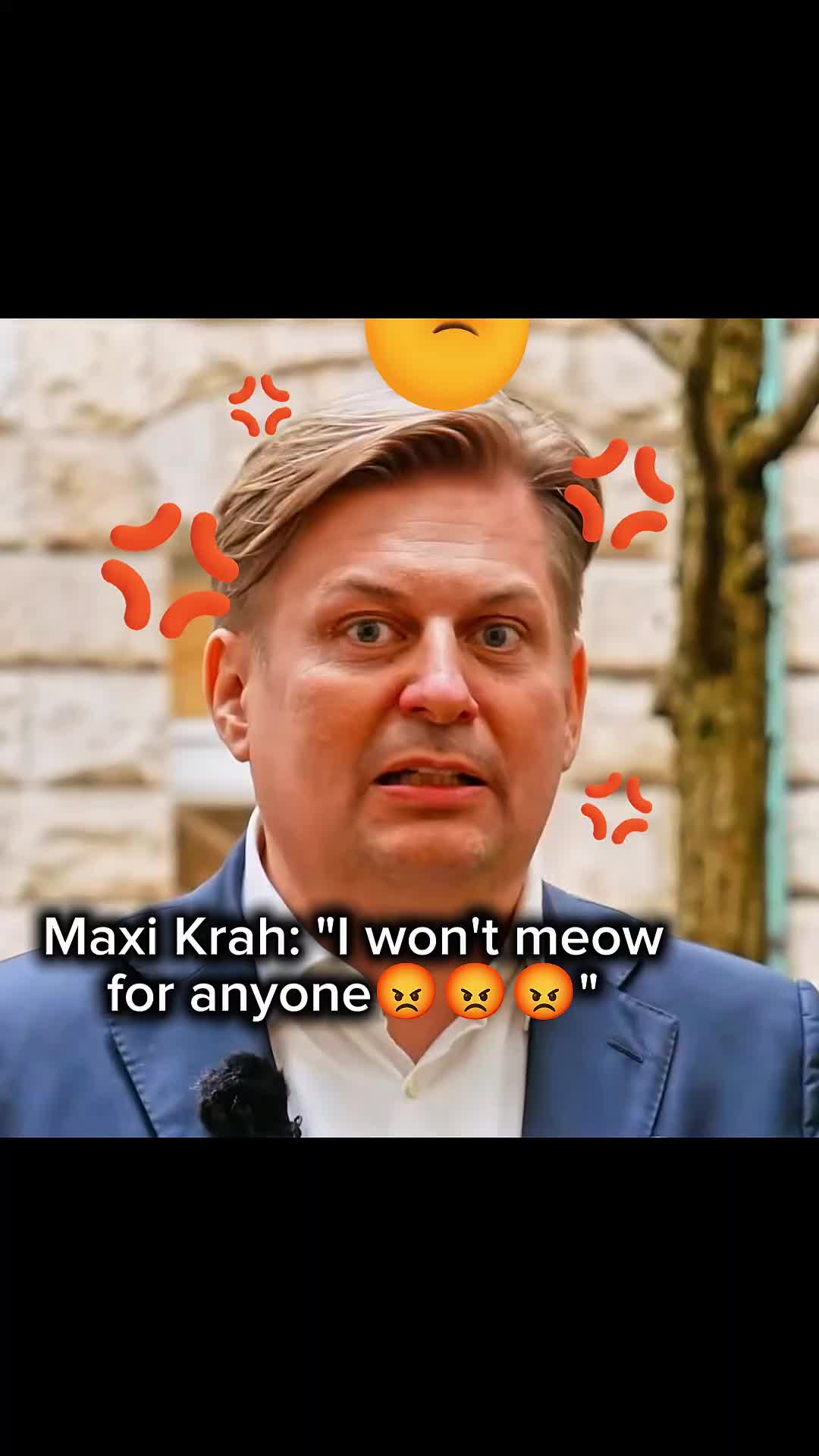 @AfD-Memes