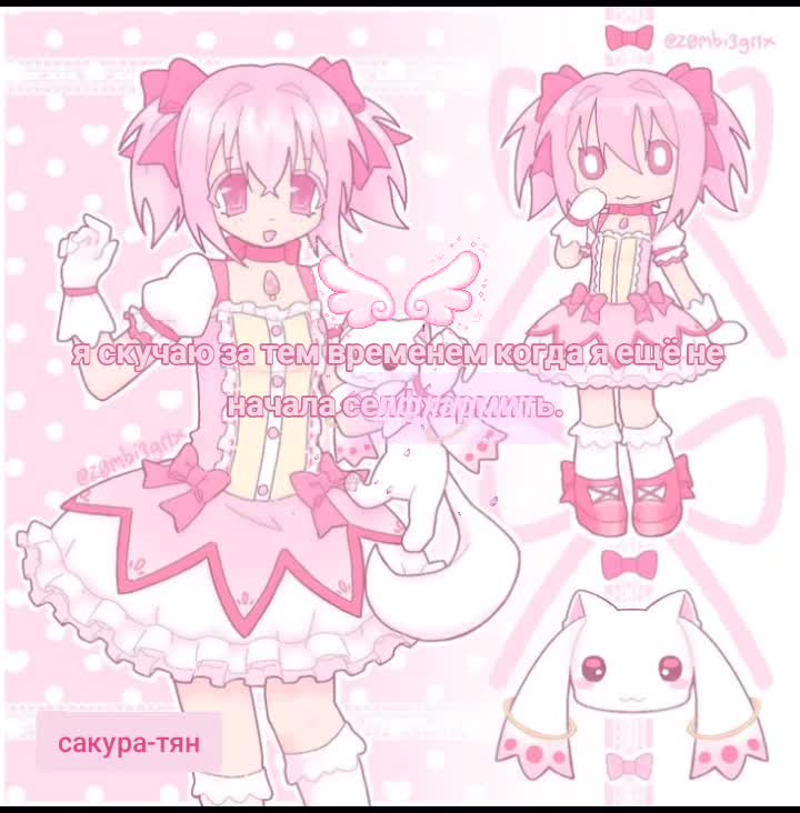 @꒰ ᛝ 𝓈𝑎𝑘𝑢𝑟𝑎-𝒸ℎ𝑎𝑛 ⋆.🌸