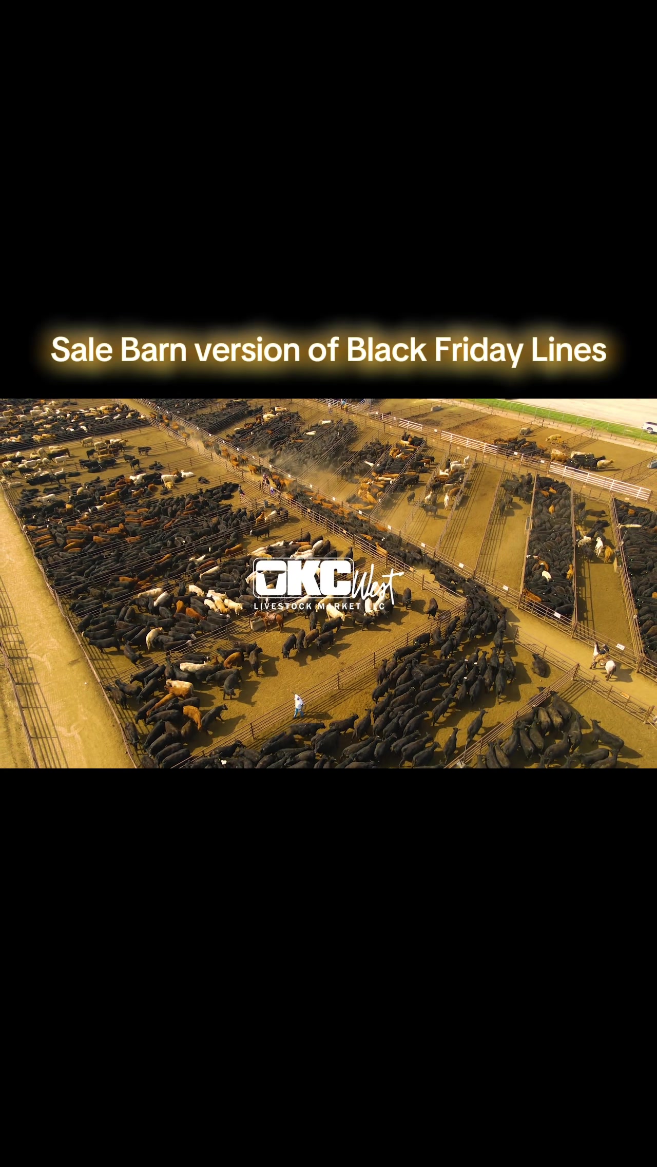 @OKC West Livestock Market