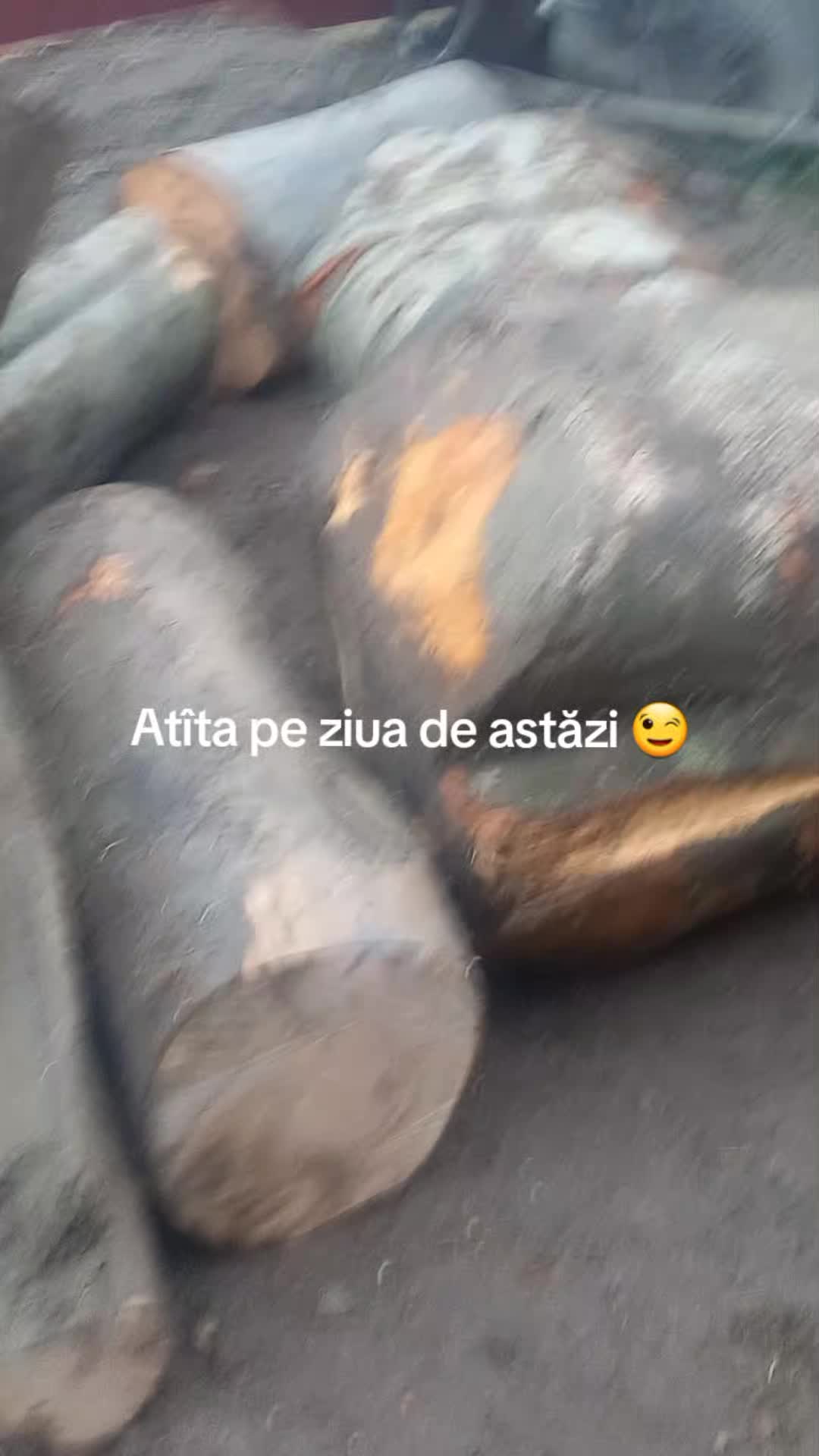 @Buga Ionuț
