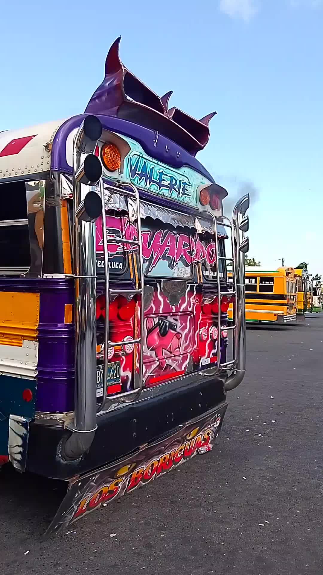@buses elegantes 503