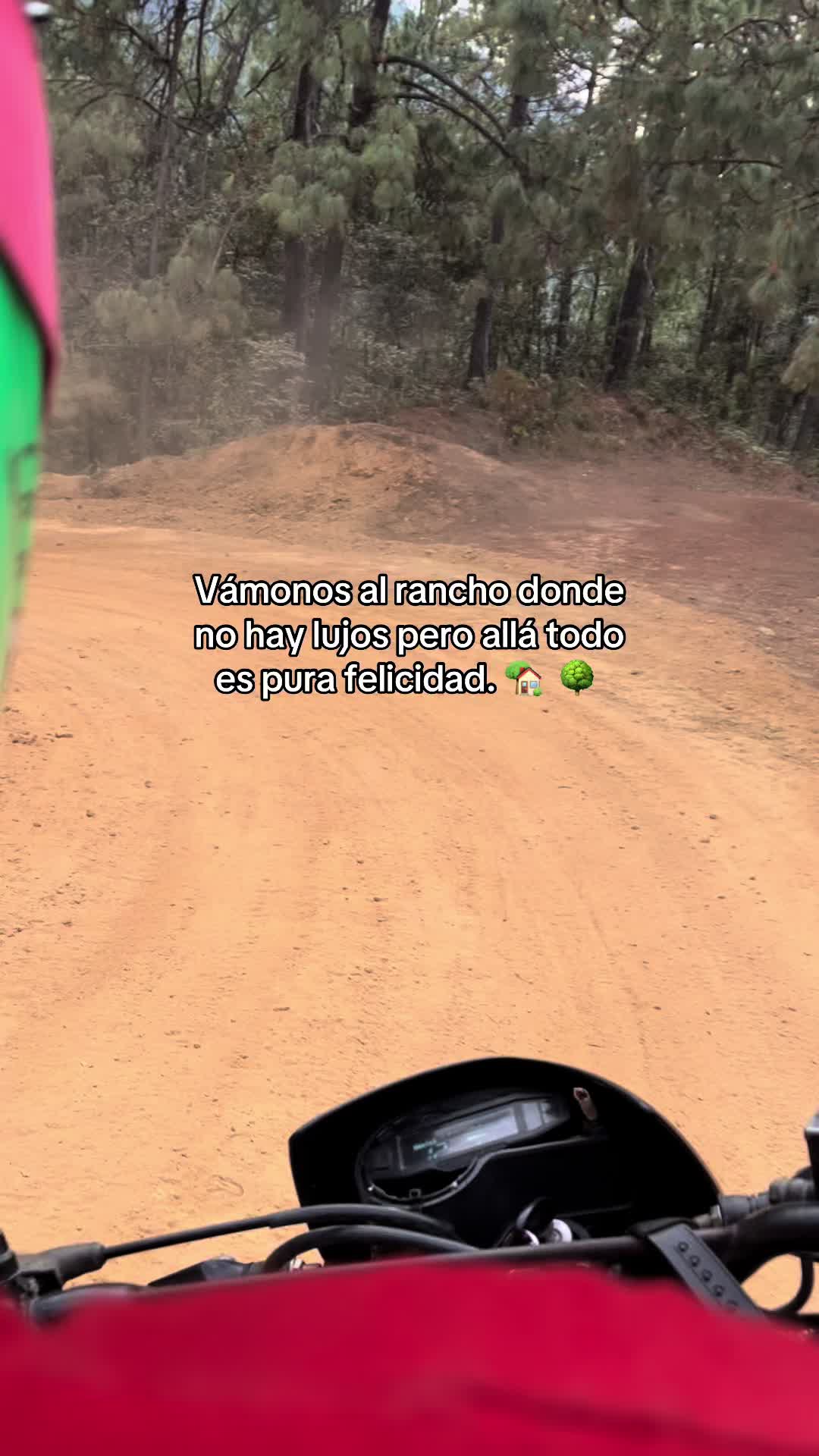 @🐰