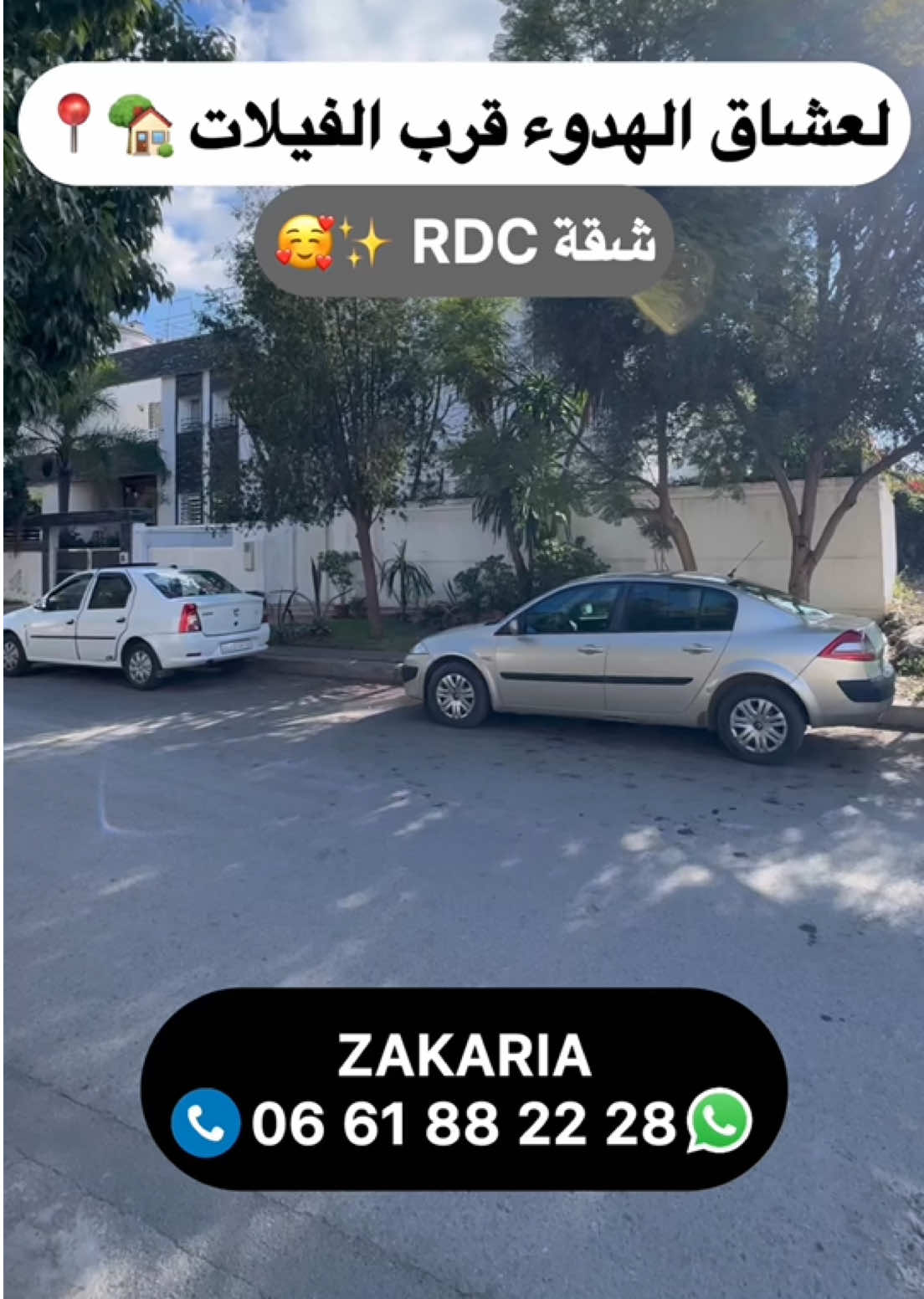 @Zakaria Haddad 🇲🇦🇵🇸