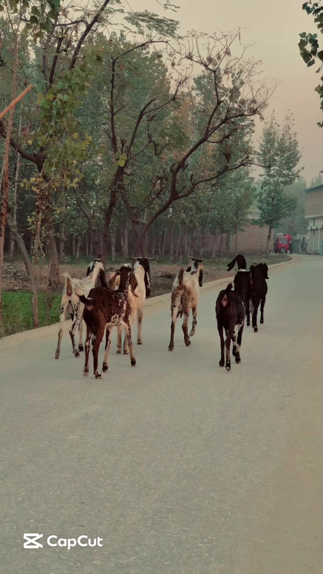 @👿👤𝓤𝓡 7 𝓶𝓪𝓰𝓱𝓻𝓸𝓻 👿