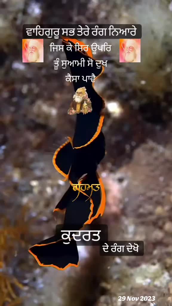 @❤️🧿Madhu Matharu🧿❤️