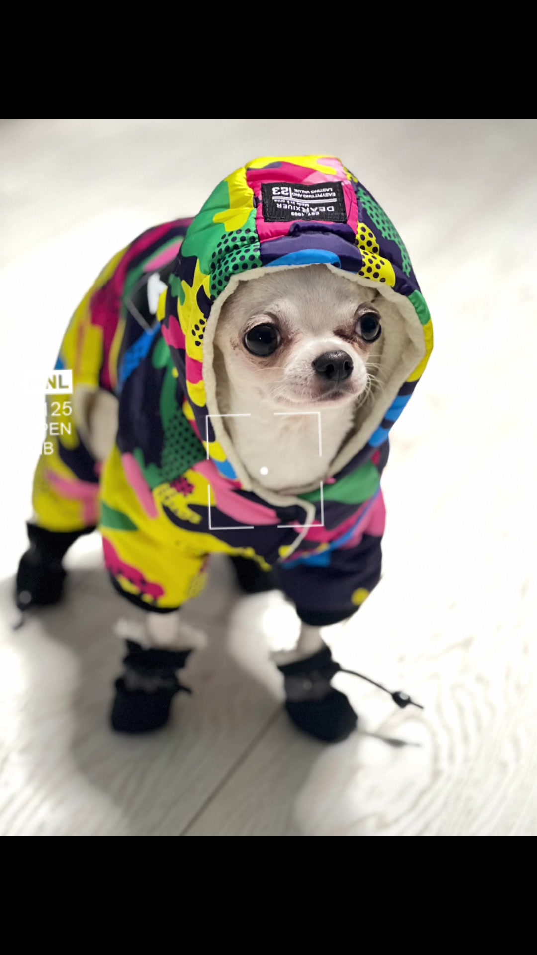 @Яна