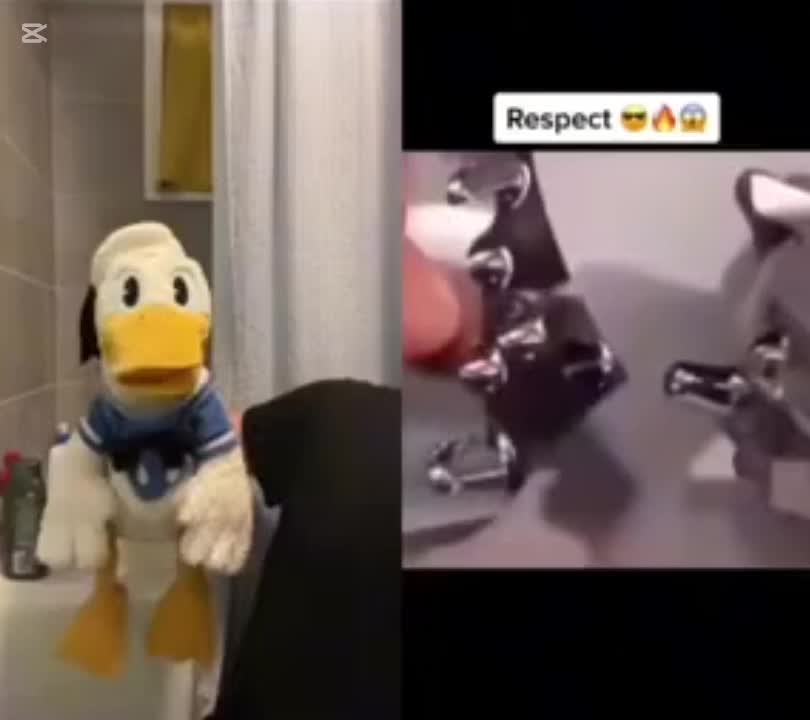 @DonaldDucc 🦆