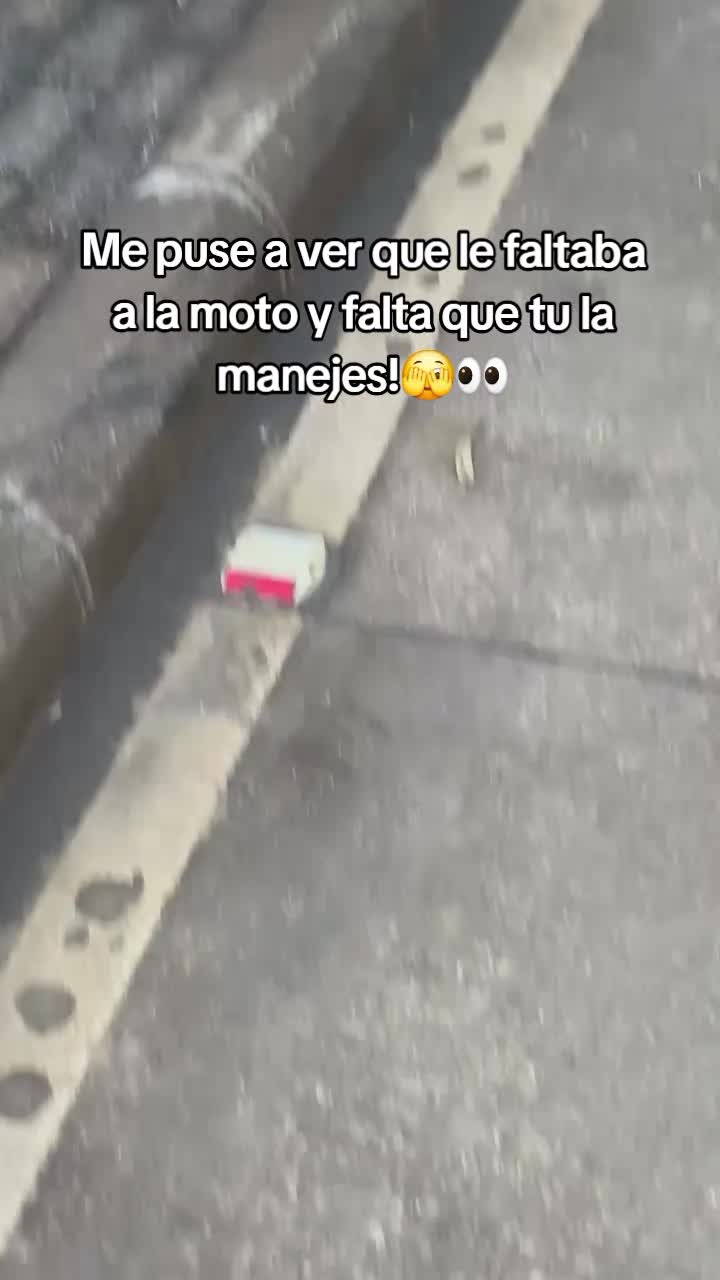 @Mininocturna🚀