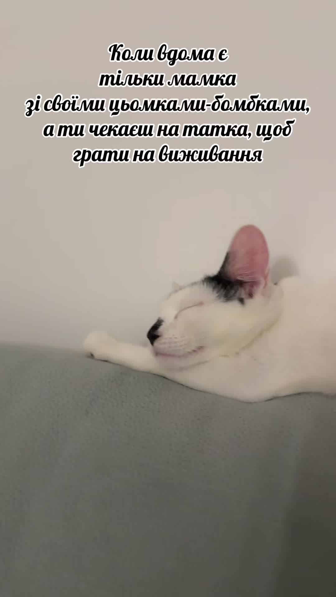 @Юля Пахарина