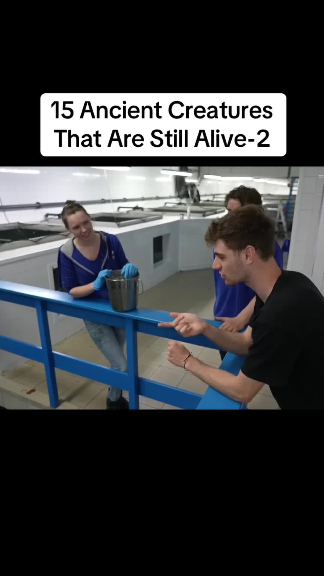 @user2229180201810
