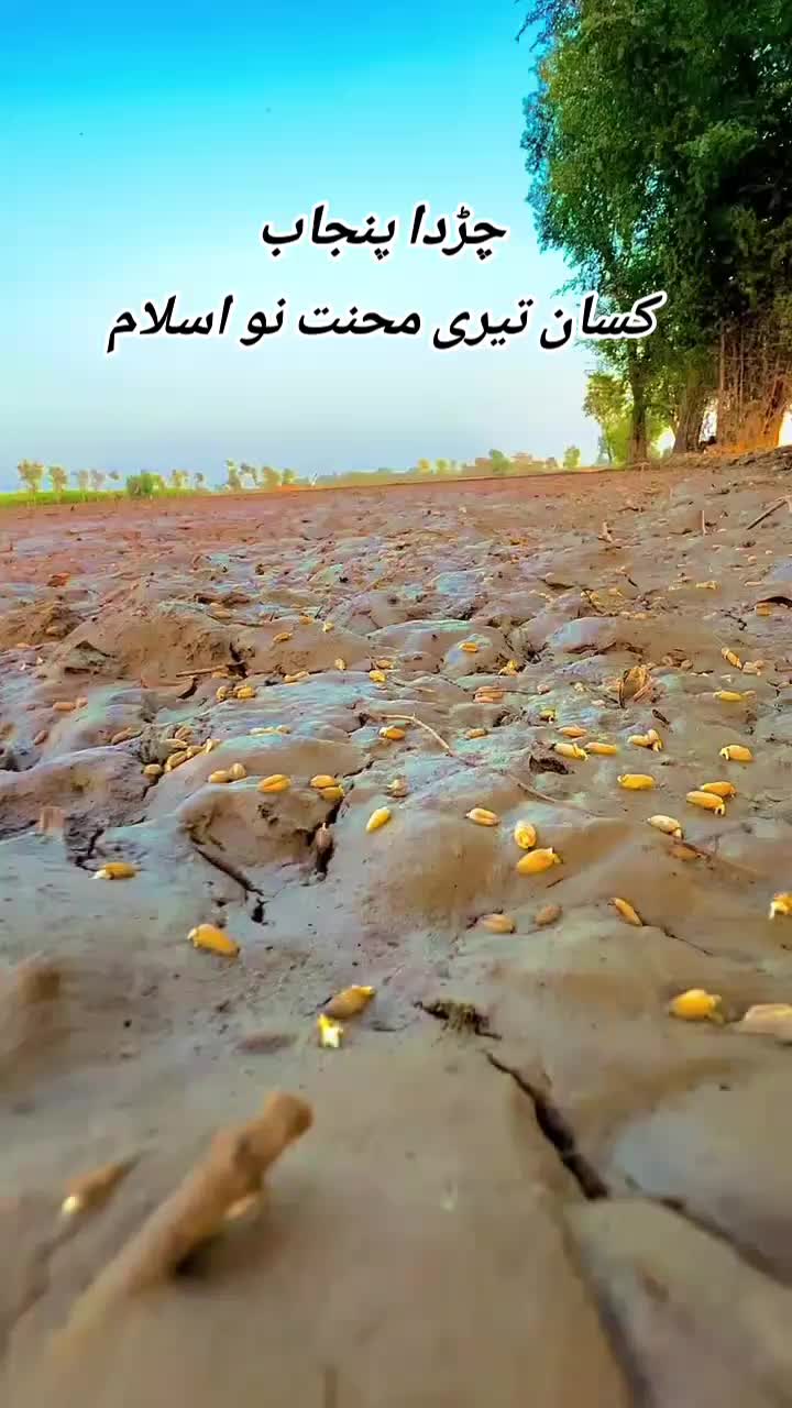 @jatT Brand🥰