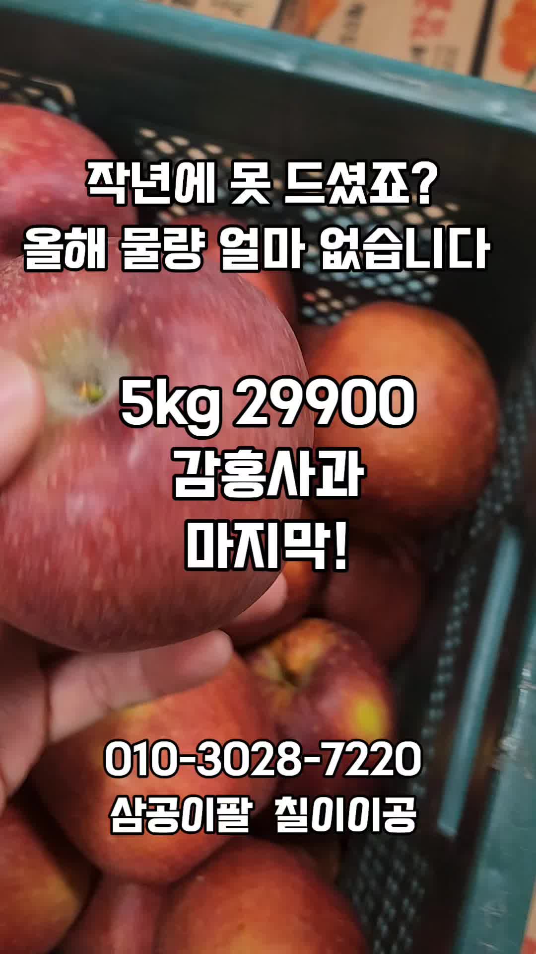@새콤과일장터
