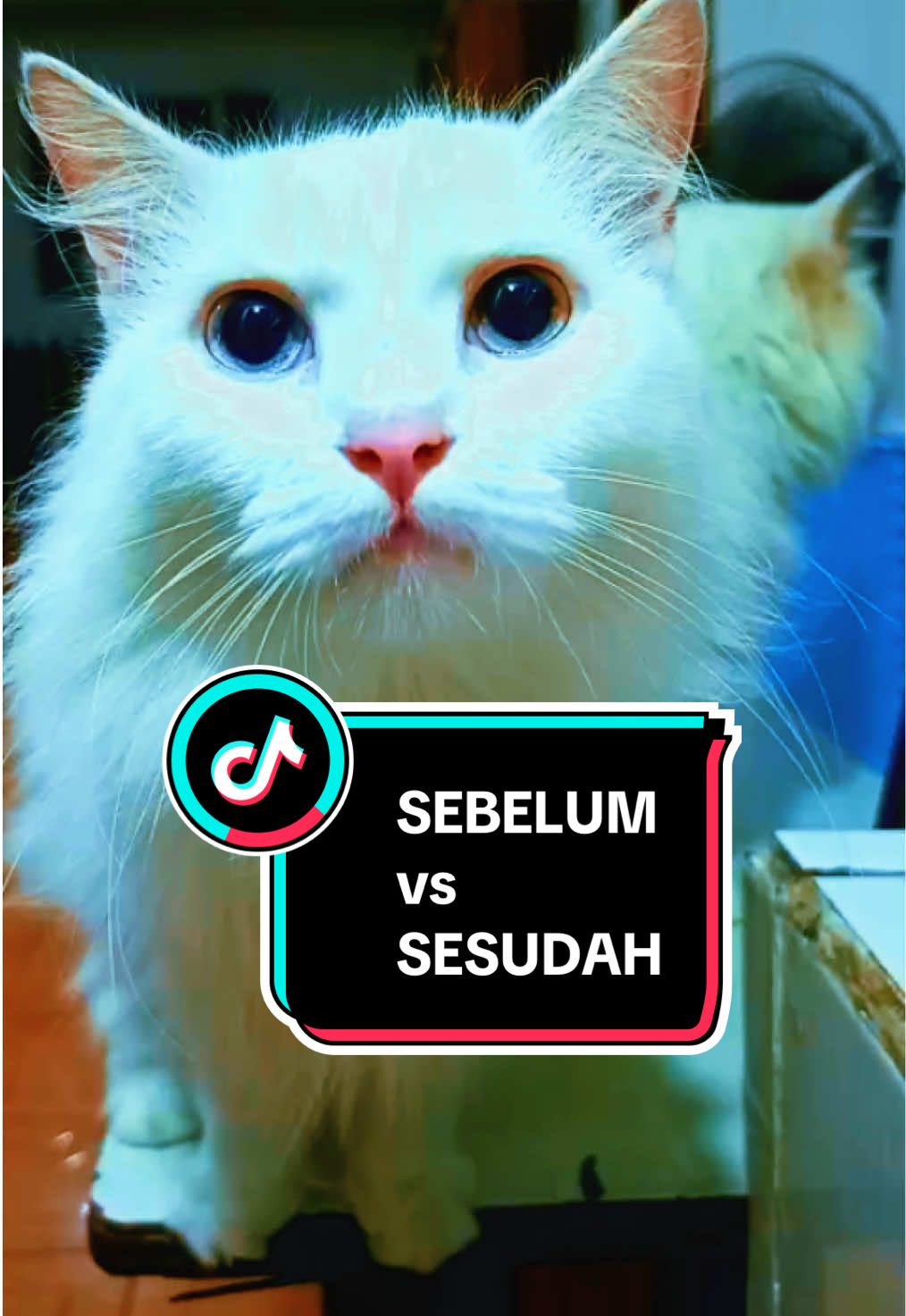 @Memey Sky