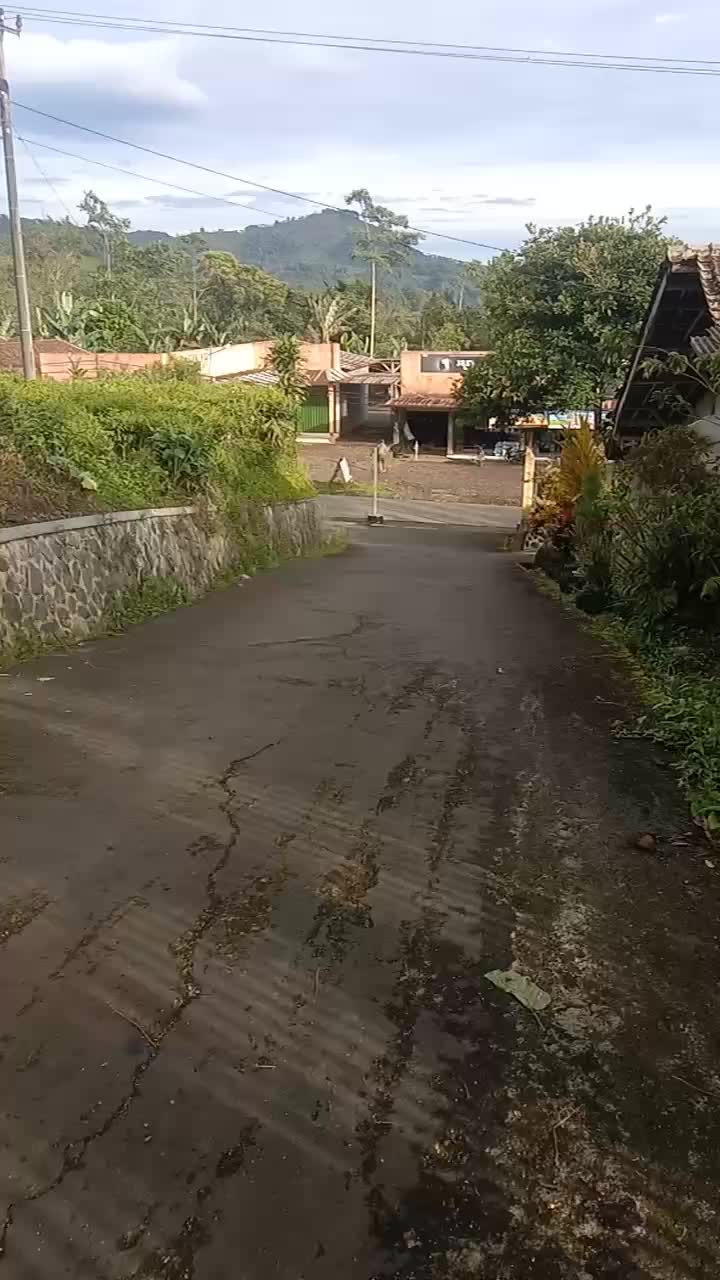 @babastea