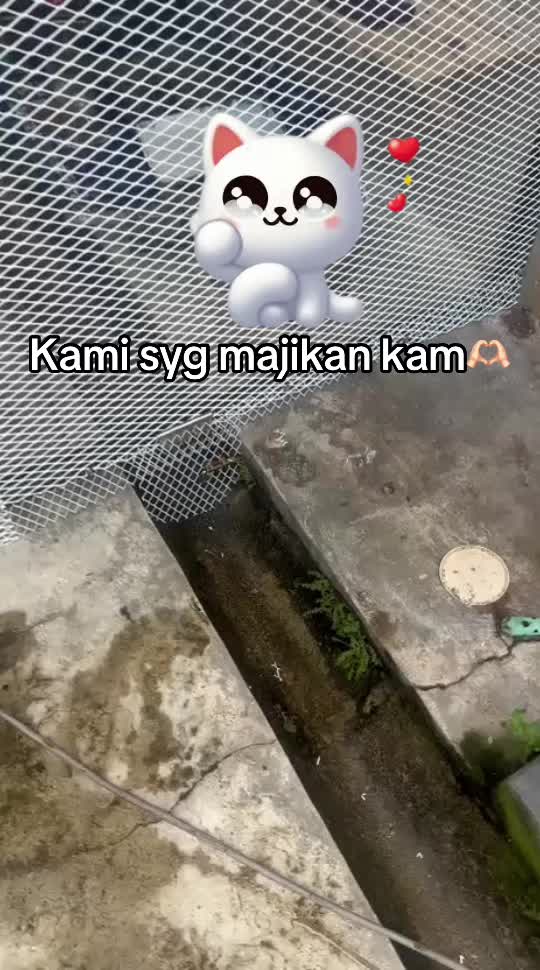 @Sangkar Anak Mak 🐱