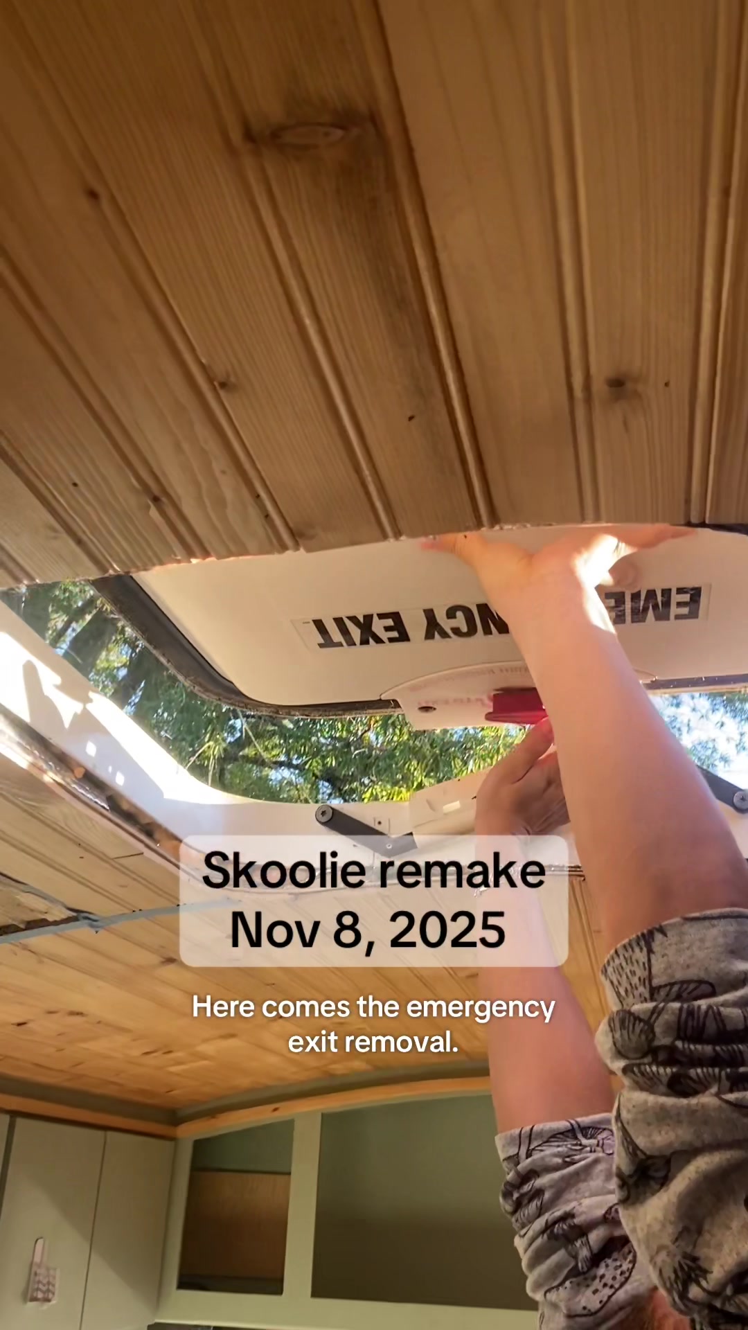 @Sunny The Skoolie