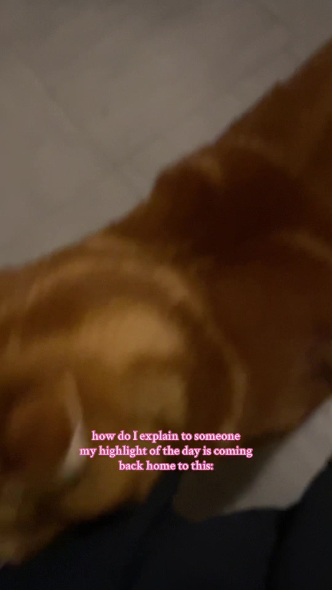 @UKHTZEE🌸
