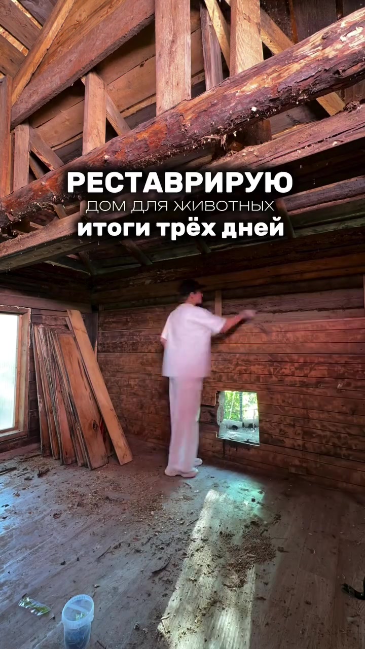 @true_crime_nemila
