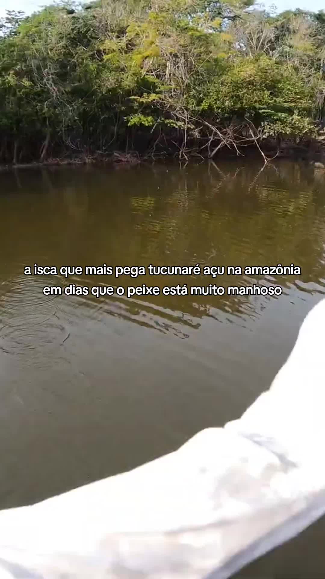 @Pesca Careiro