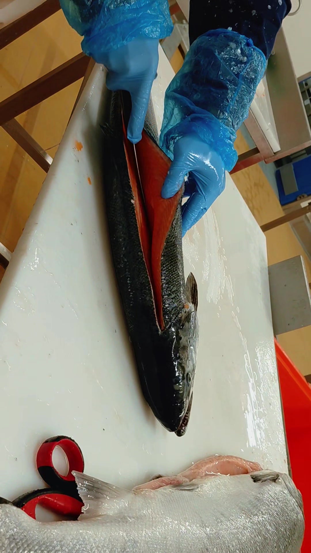 @lapprenti.poissonier