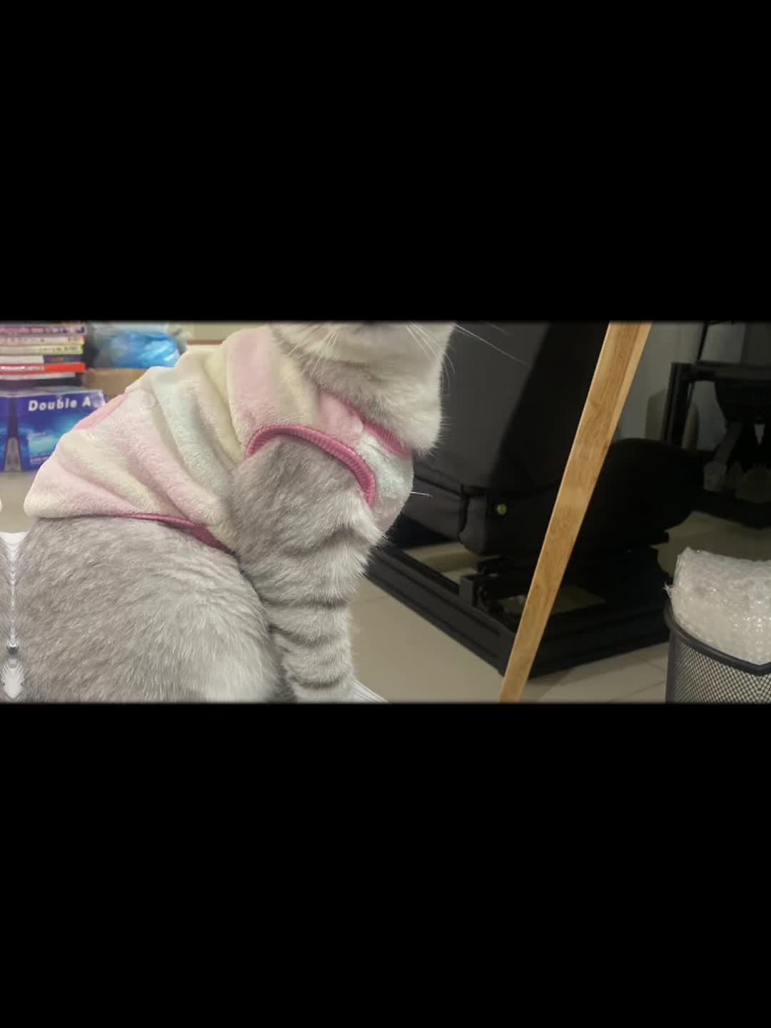 @จุ๋ม(พัขญ์ธินันท์)