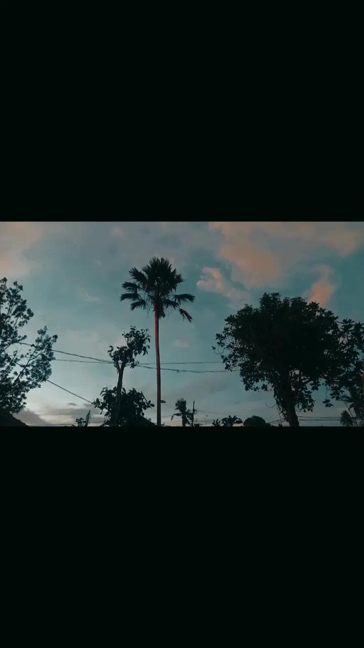 @🪷🫧Ai🫧🪷