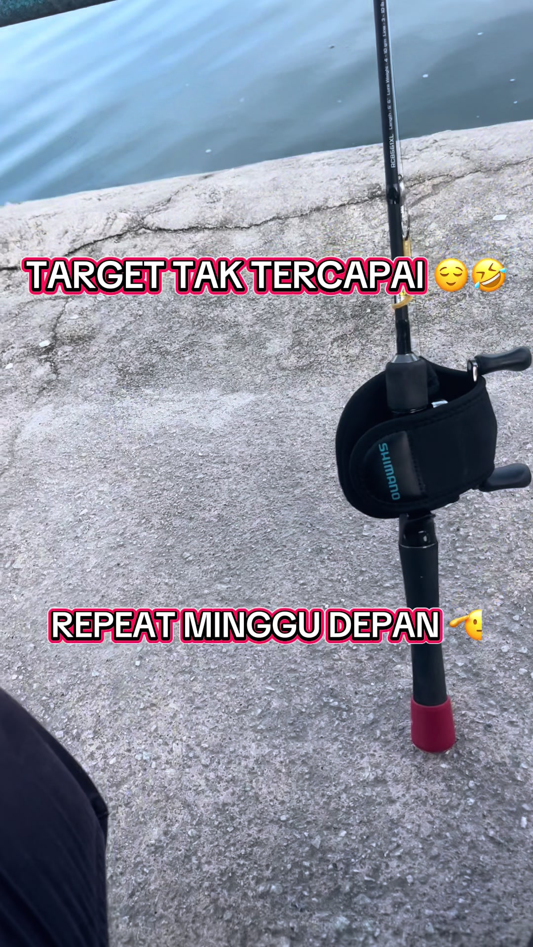 @M Z Reel 🎣