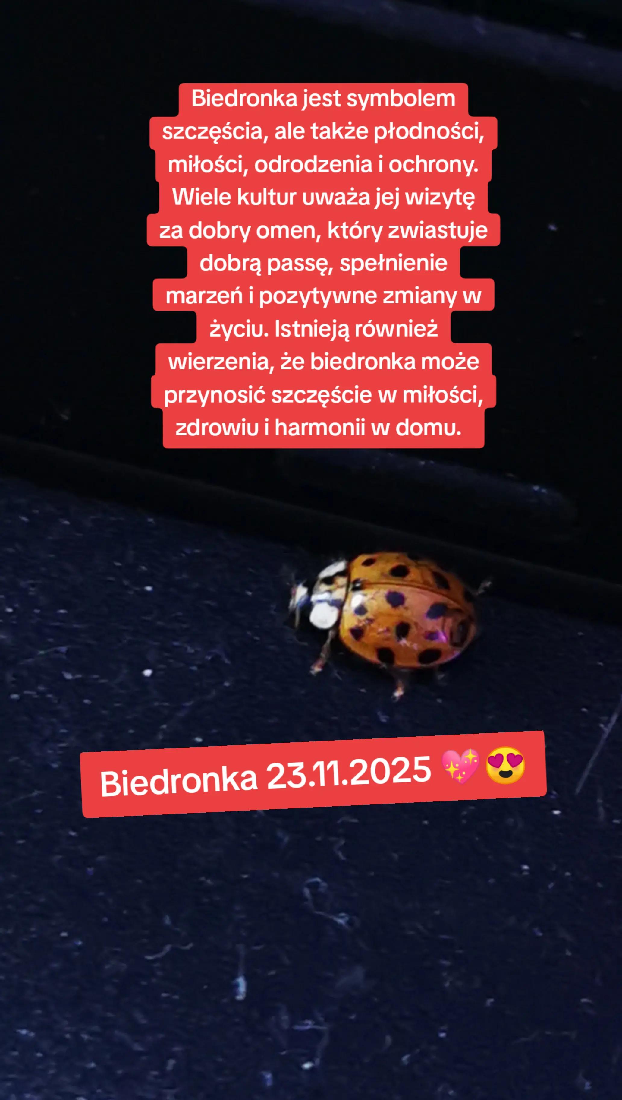 @Uzdrowiciel Krzysztof 💖🐦&zwj;🔥