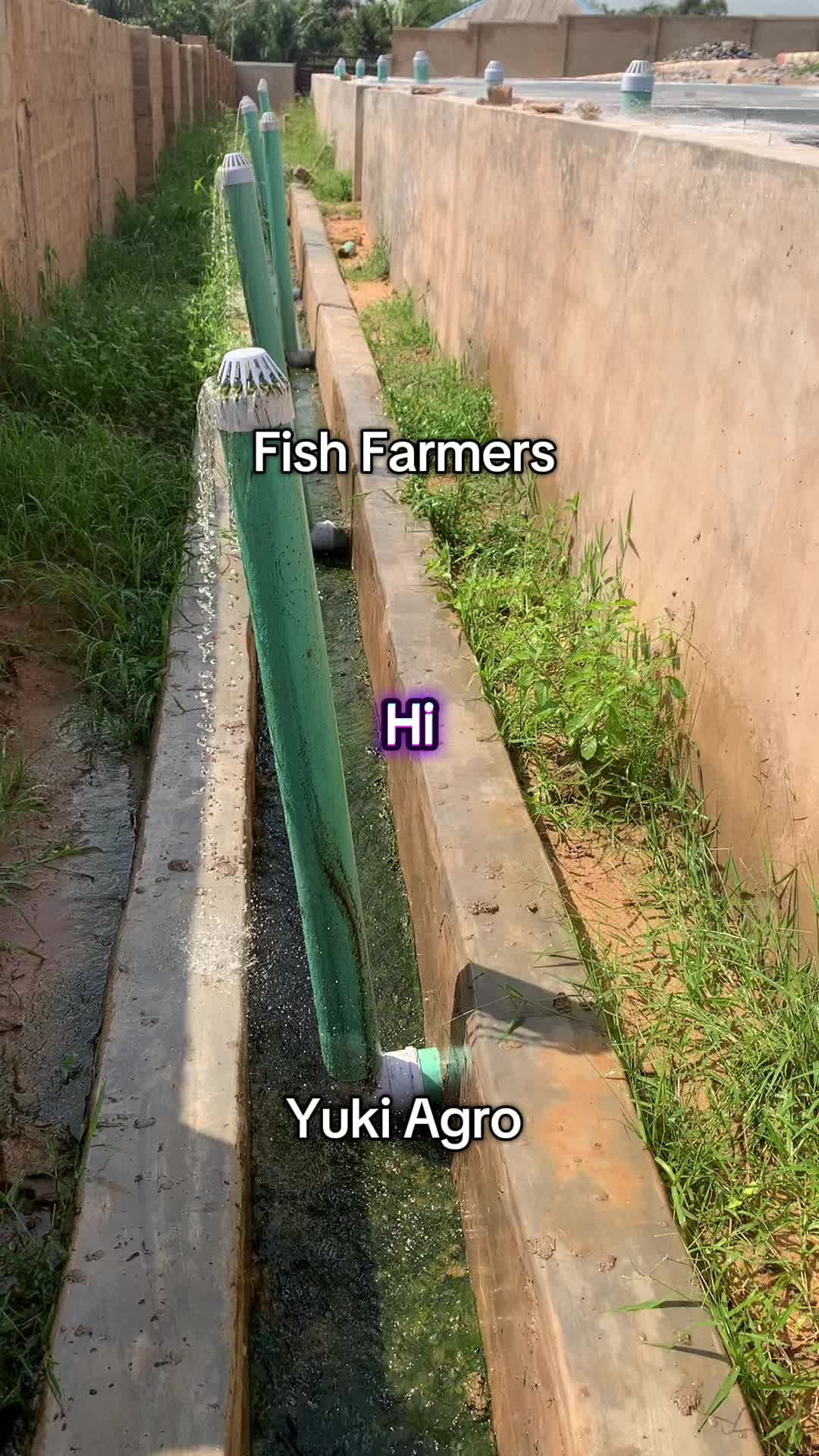 @BabaObaTv @Yuki Agro limited