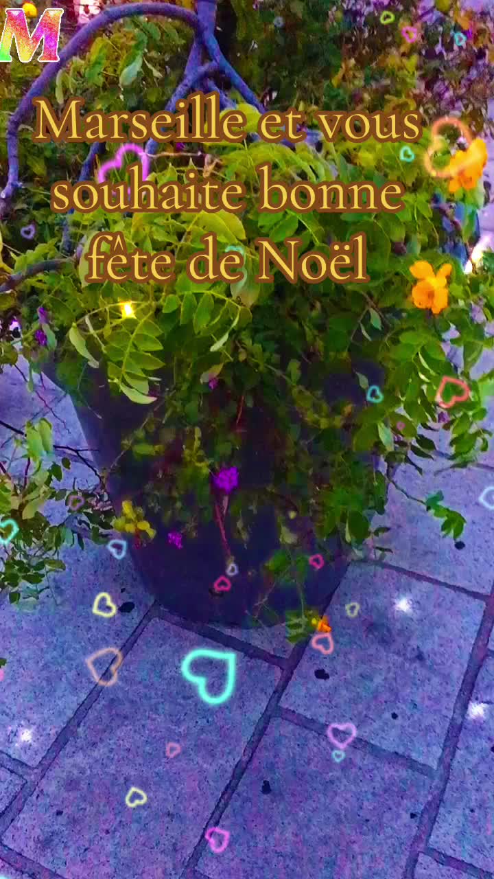 @😎Mohamed.M13🇫🇷