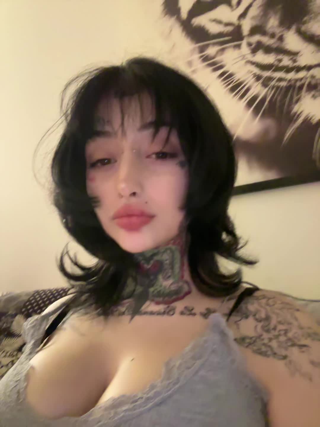 @oxysantana0