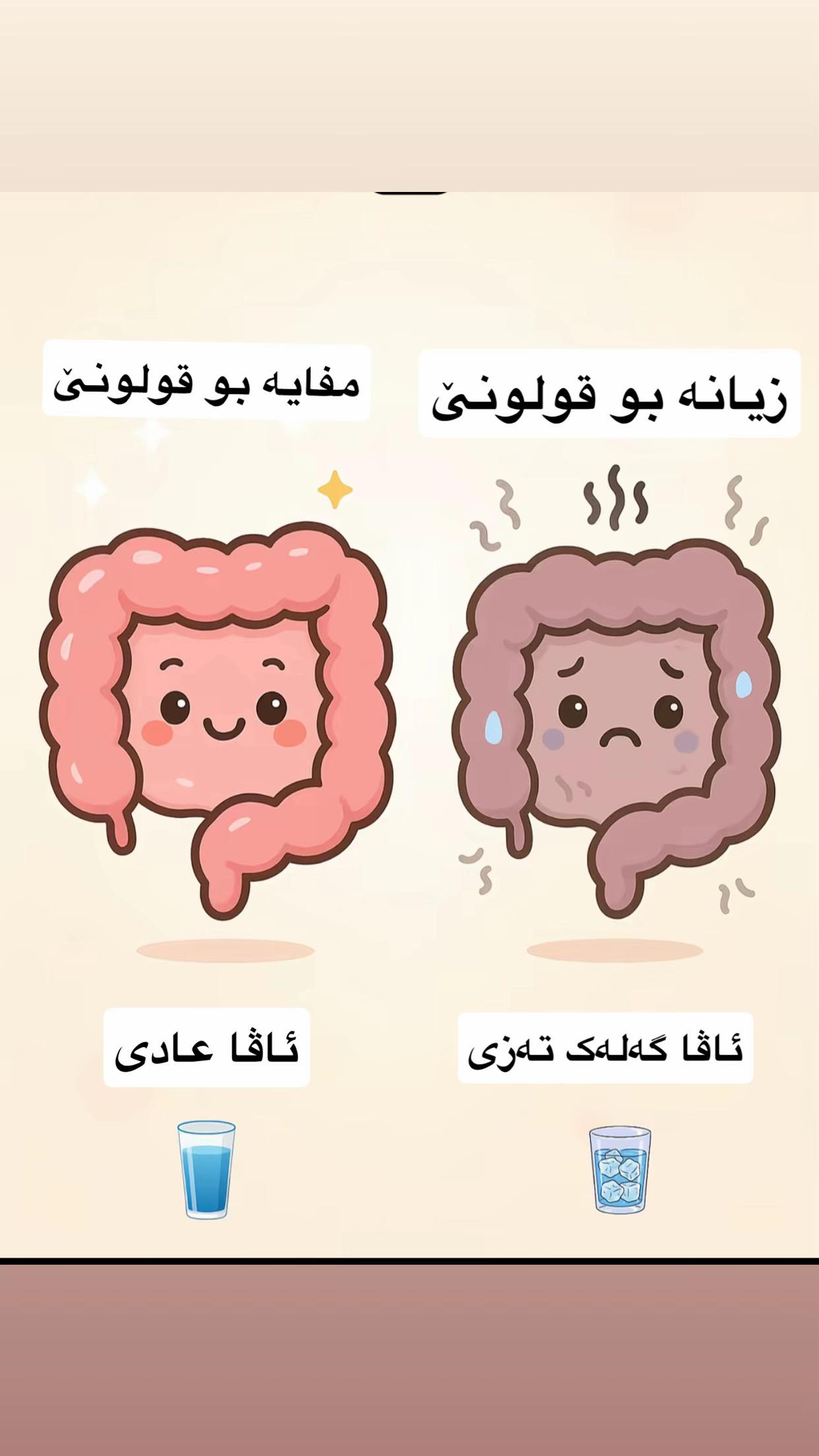 @Dr. Hana  kurdi