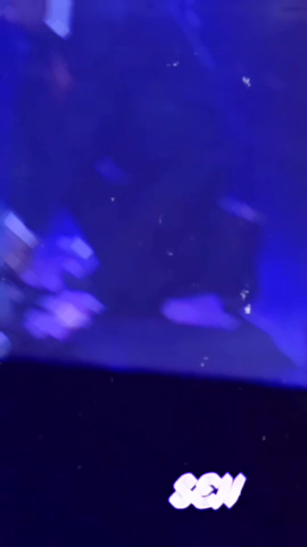 @PaNaChaiJiRunTaNin✨