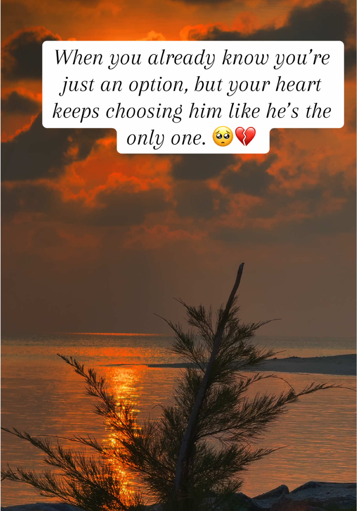 @Ree Sh Fa