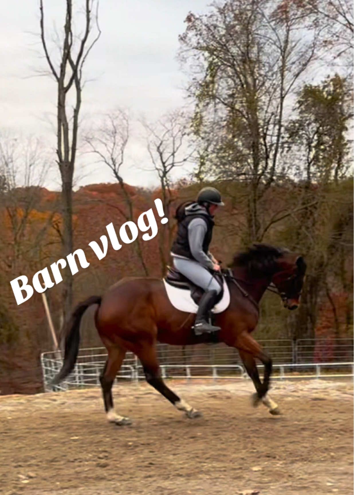 @Lunar Hill Equestrian