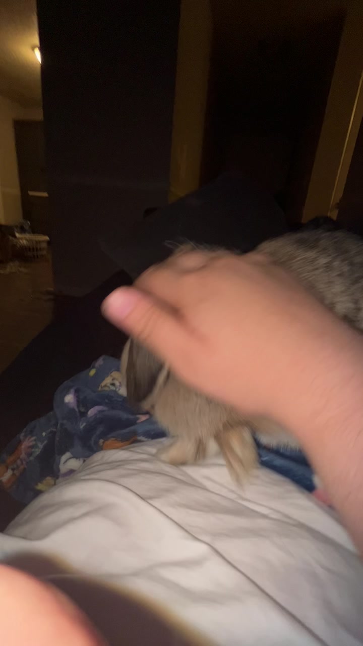 @Fadedbunny69