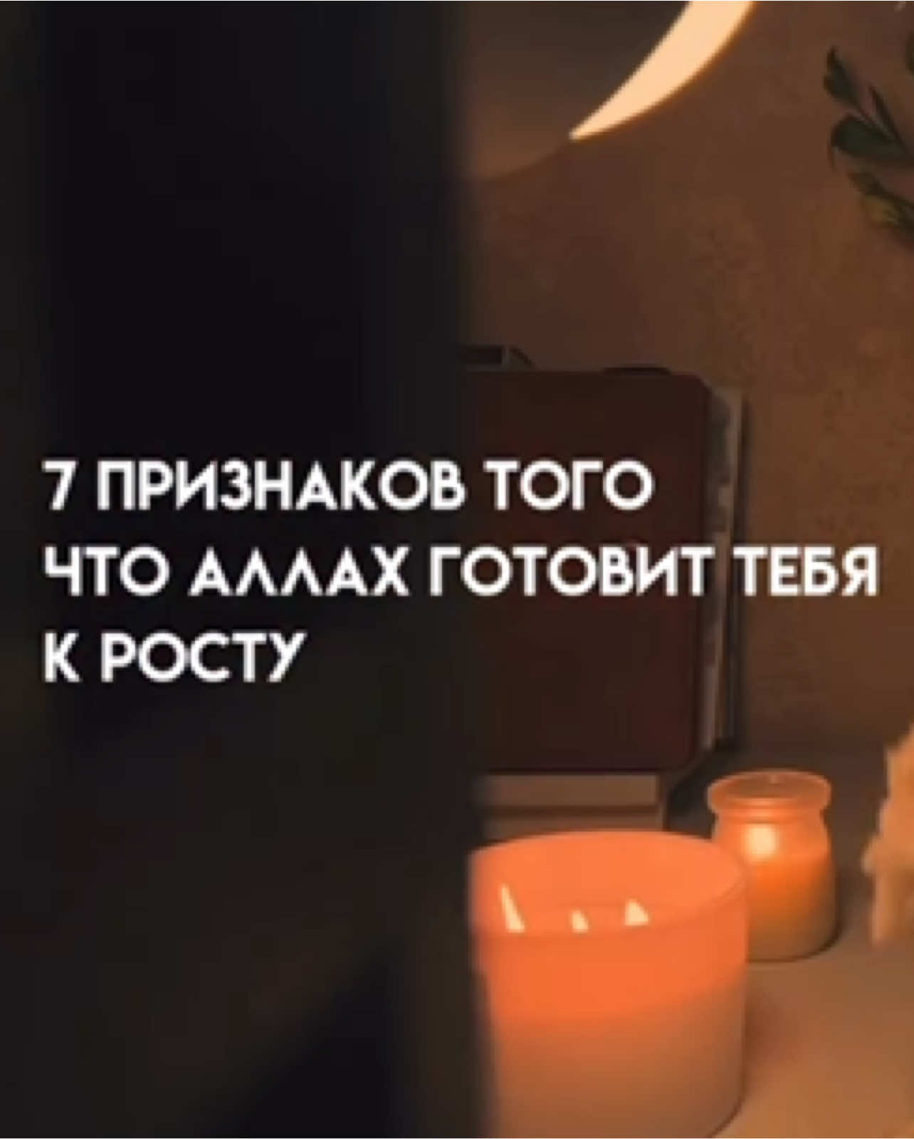 @liloboty
