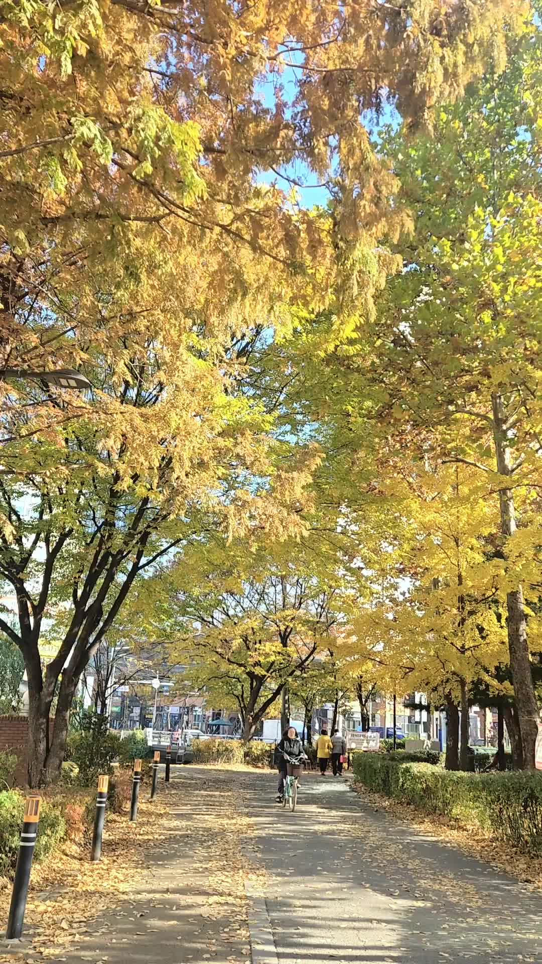 @귀현이
